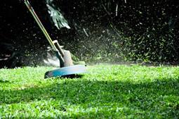 weed whacker _002_.jpg