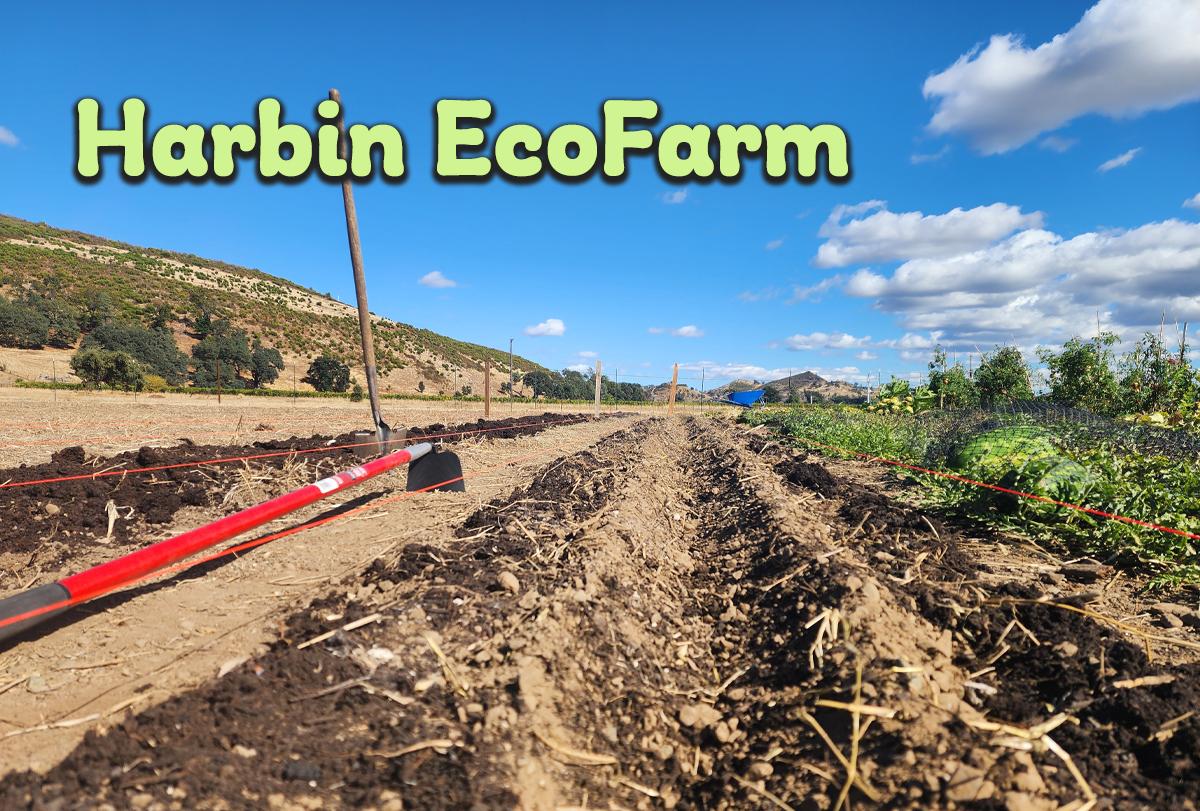 Harbin EcoFarm