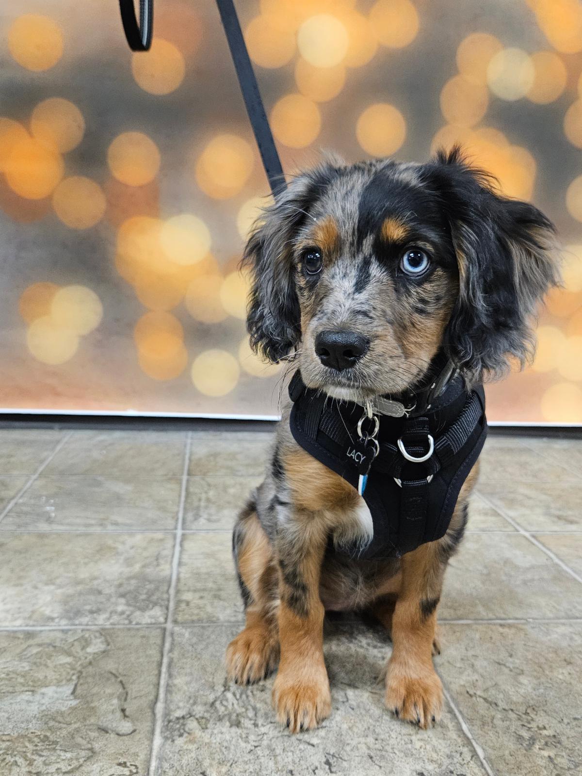 ba45b409-abba-41a3-a391-a0a74d970c6f image