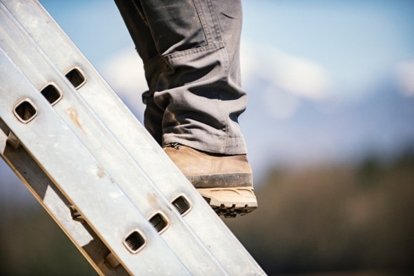 Ladder eLearning