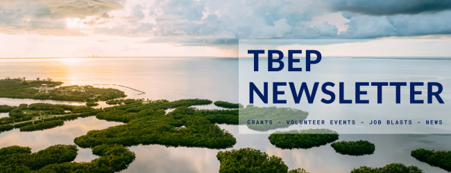 Aerial  of mangrove islands and serene tampa bay at sunrise