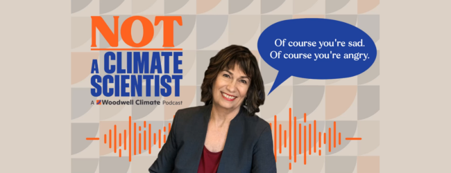Not a climate scientist, A woodwell climate podcast, speech bubble from a woman that says, "Of course you're sad. Of course you're angry."