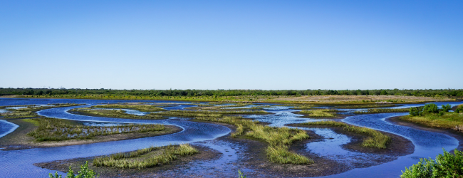A winding coastal tributary 