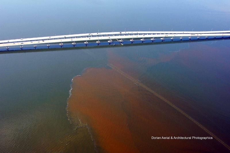 CC algae bloom