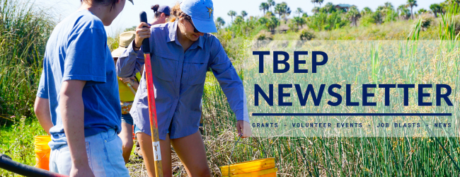 People hold buckets and shovels in a natural area, text reads, "TBEP Newsletter, grants, jobs, news, events"
