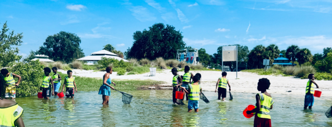 Many children and a few adults wade in shallow water with nets and buckets