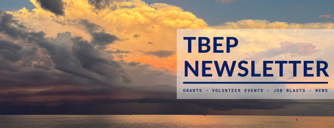 storm clouds are lit up by a golden sunset - TBEP Newsletter, Grants, Volunteer events, job blasts, news