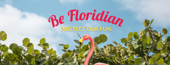 Flamingo lawn ornament in front of shrubbery, Be Floridian, Protect our fun