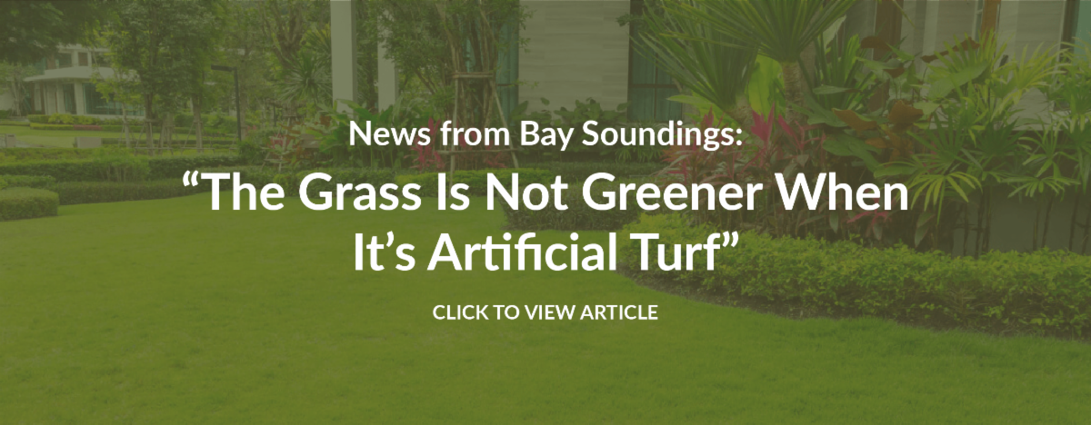A banner graphic promoting Bay Soundings new article titled The Grass is not Greener when It's Artificial Turf