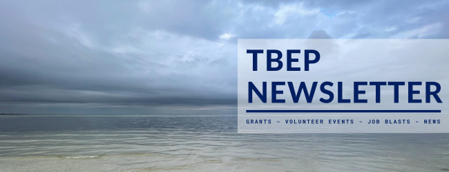Looking out into the bay from a shallow shoreline on a cloudy day. Text reads TBEP Newsletter, grants, volunteer events, job blasts, news