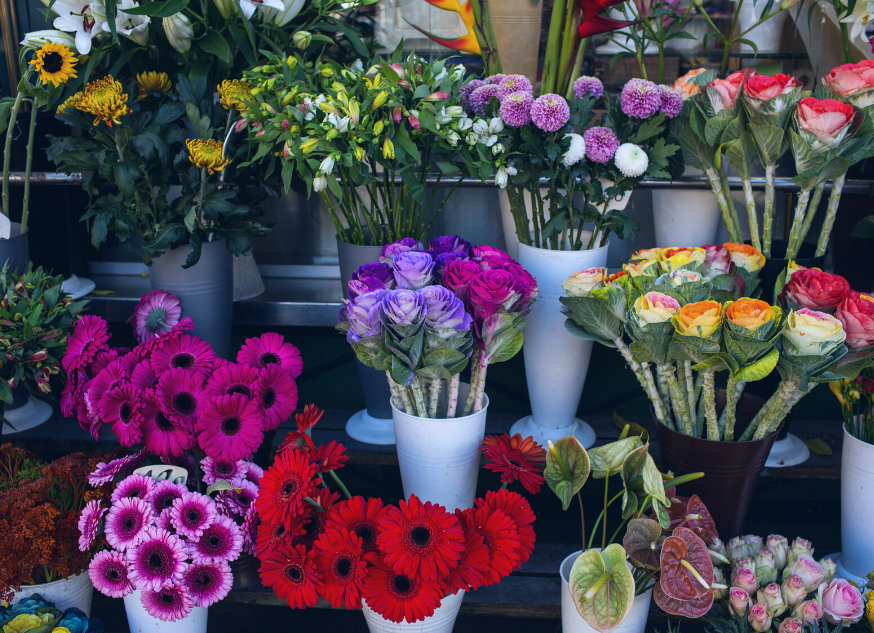 Local Farmers Markets