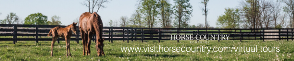 Horse Country Virtual Tours.png