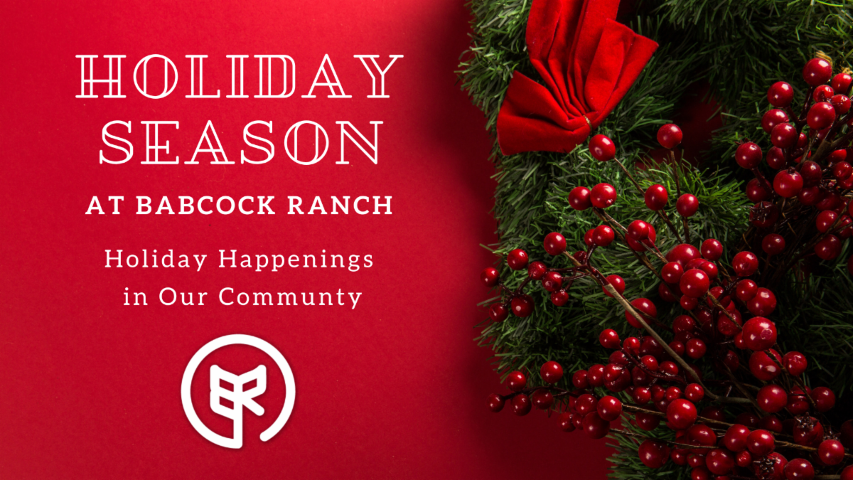 Babcock Bulletin 11/26/22