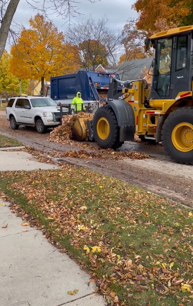 The Importance of Being Earnest, November Bay Leaves magazine, Election