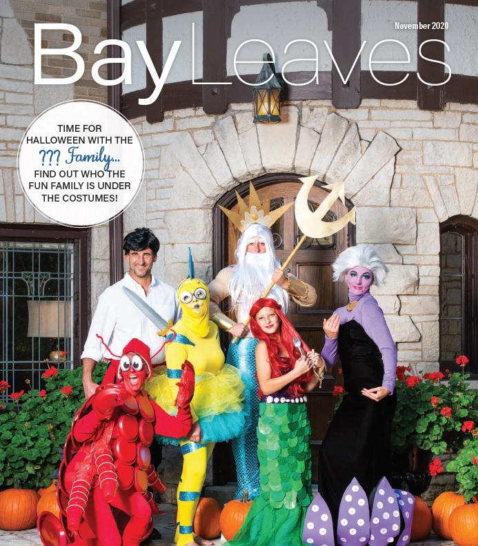 General Election Information, Ice Rink Update, November Bay Leaves, and