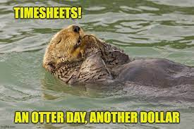 A photo of an otter in the water and the words timesheets an otter day another dollar.