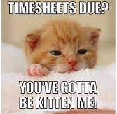 A photo of a cute kitten and the words timesheets due you gotta be kitten me. 