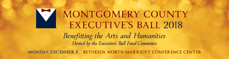 Executive Ball banner