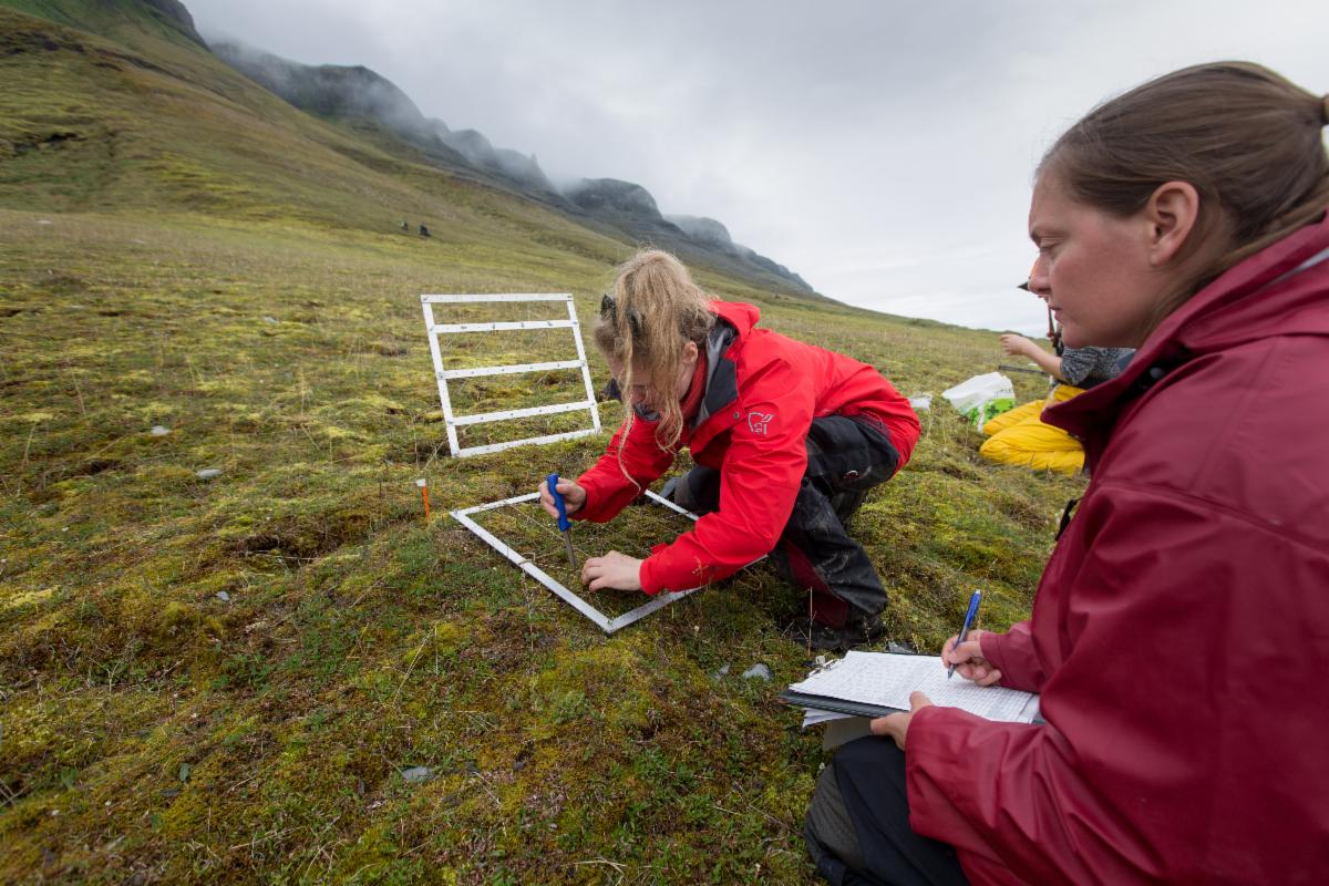 Fieldwork_Svalbard_ Norway_credit Lawrence Hislop.jpg