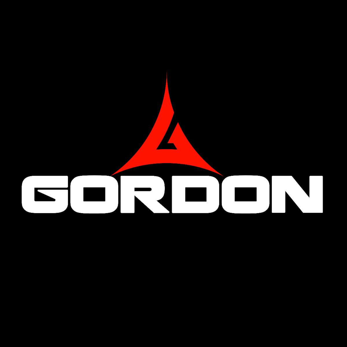 GORDON SYSTEMS LOGO