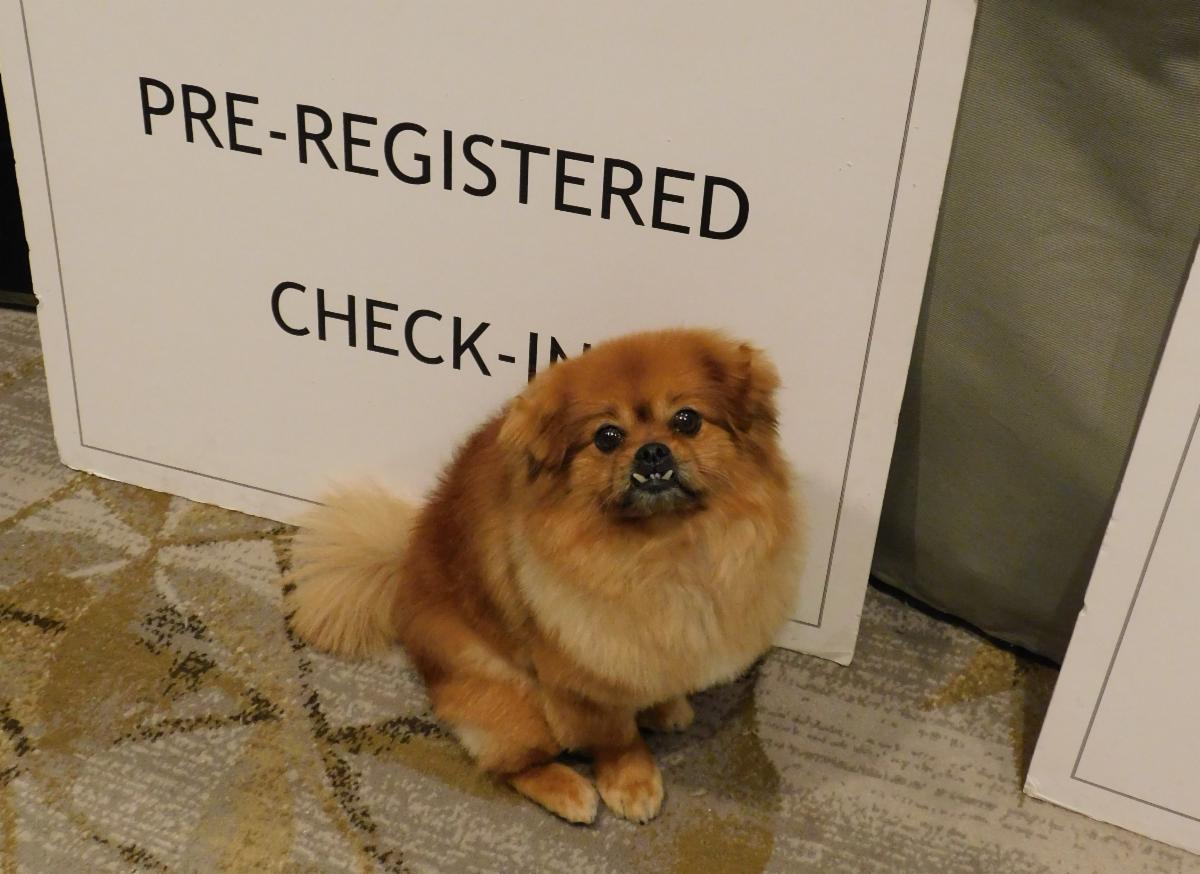 Mister_CheckIn _2_.jpg