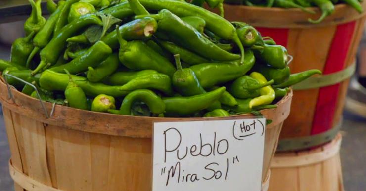 Bushels of Pueblo chiles 