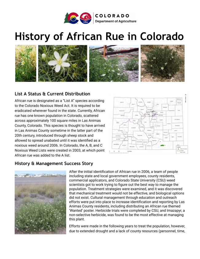 History of African rue in Colorado front page