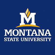 Montana State University logo