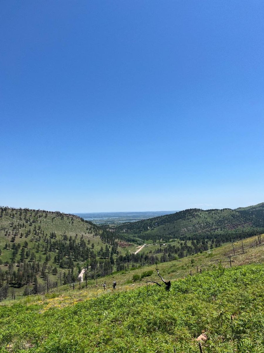 A foothills view with green pastures and a blue sky.