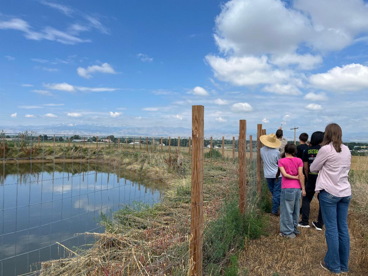 A group of people look at a wetland