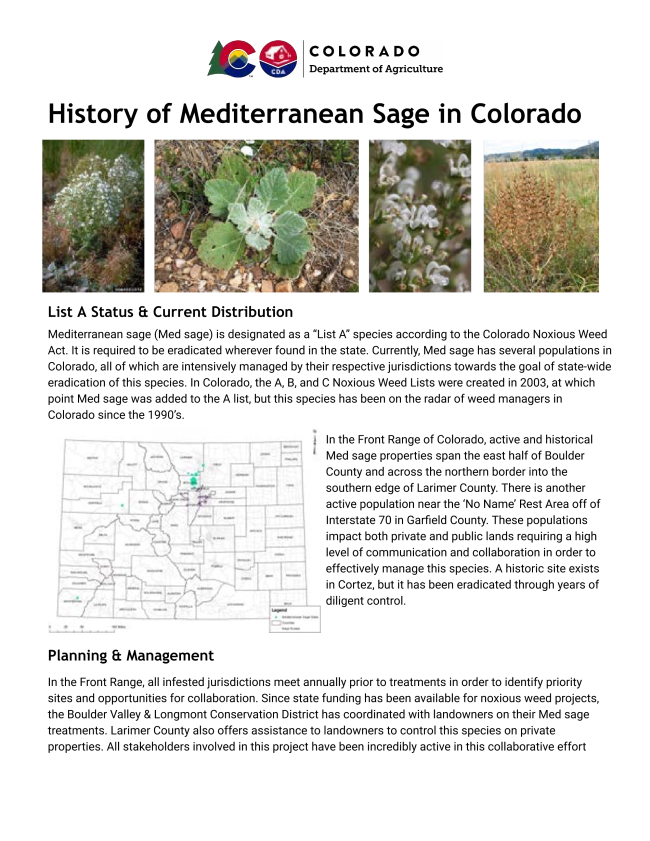 History of Mediterranean sage in Colorado packet front page