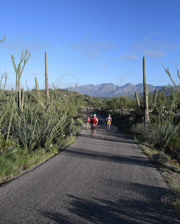 SAR News Registration Open for the 51st Annual Saguaro National Park