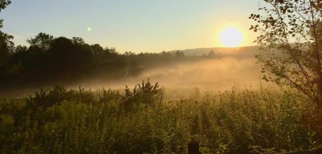Sun rises over a grassy field