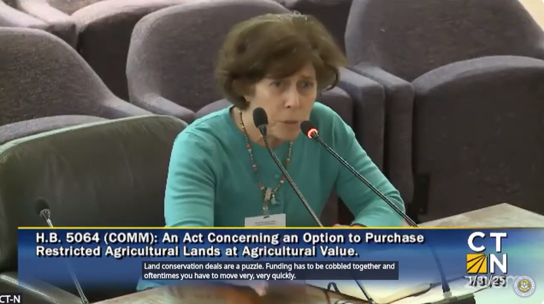 Amy Blaymore Paterson testifies at hearing for H.B. 5064