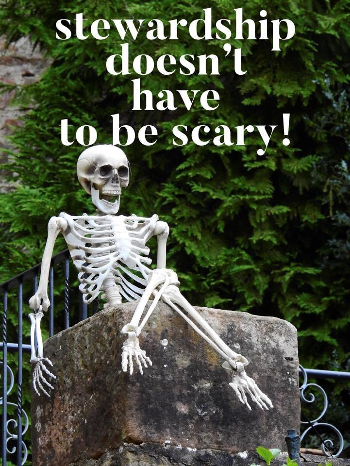 Stewardship doesn't have to be scary!
