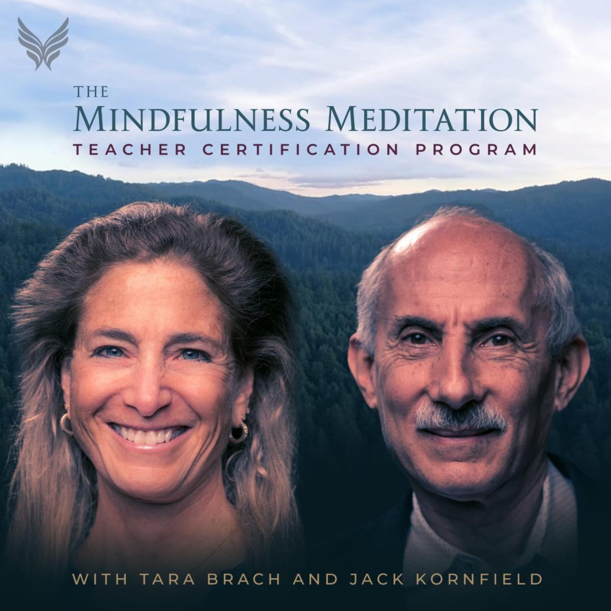 The Mindfulness Meditation Teacher Certification Program with Tara