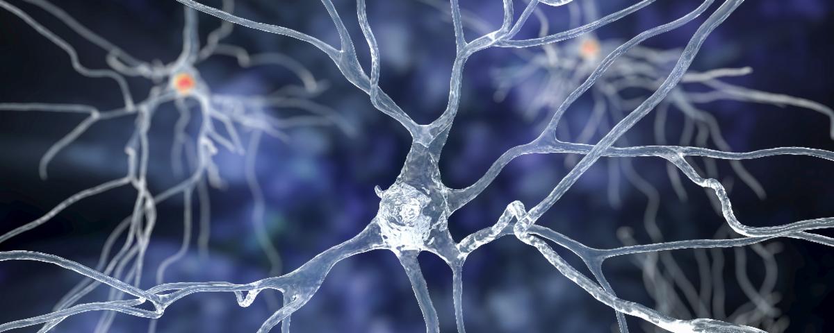Neuro News Big Pic XXX.jpg