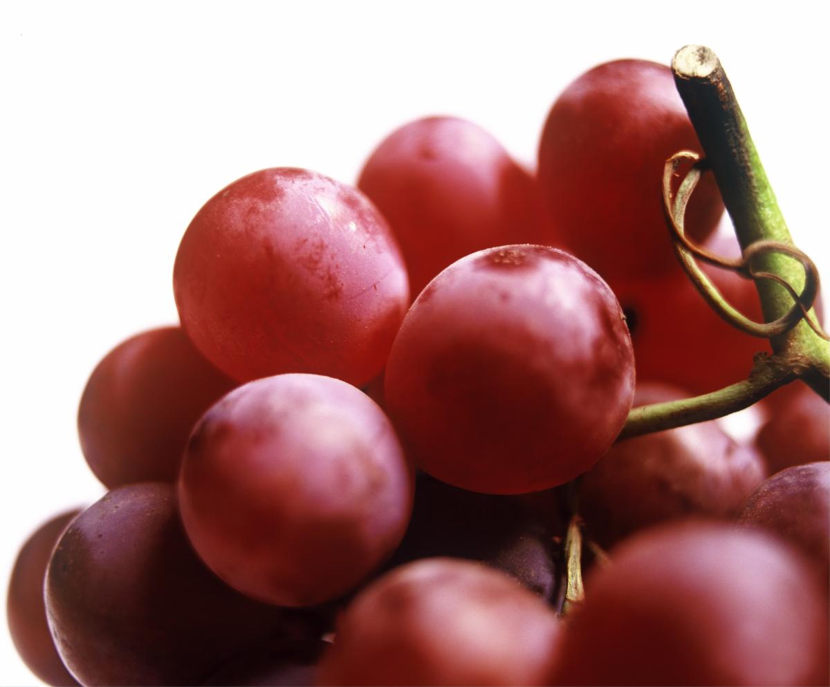 grapes.jpg