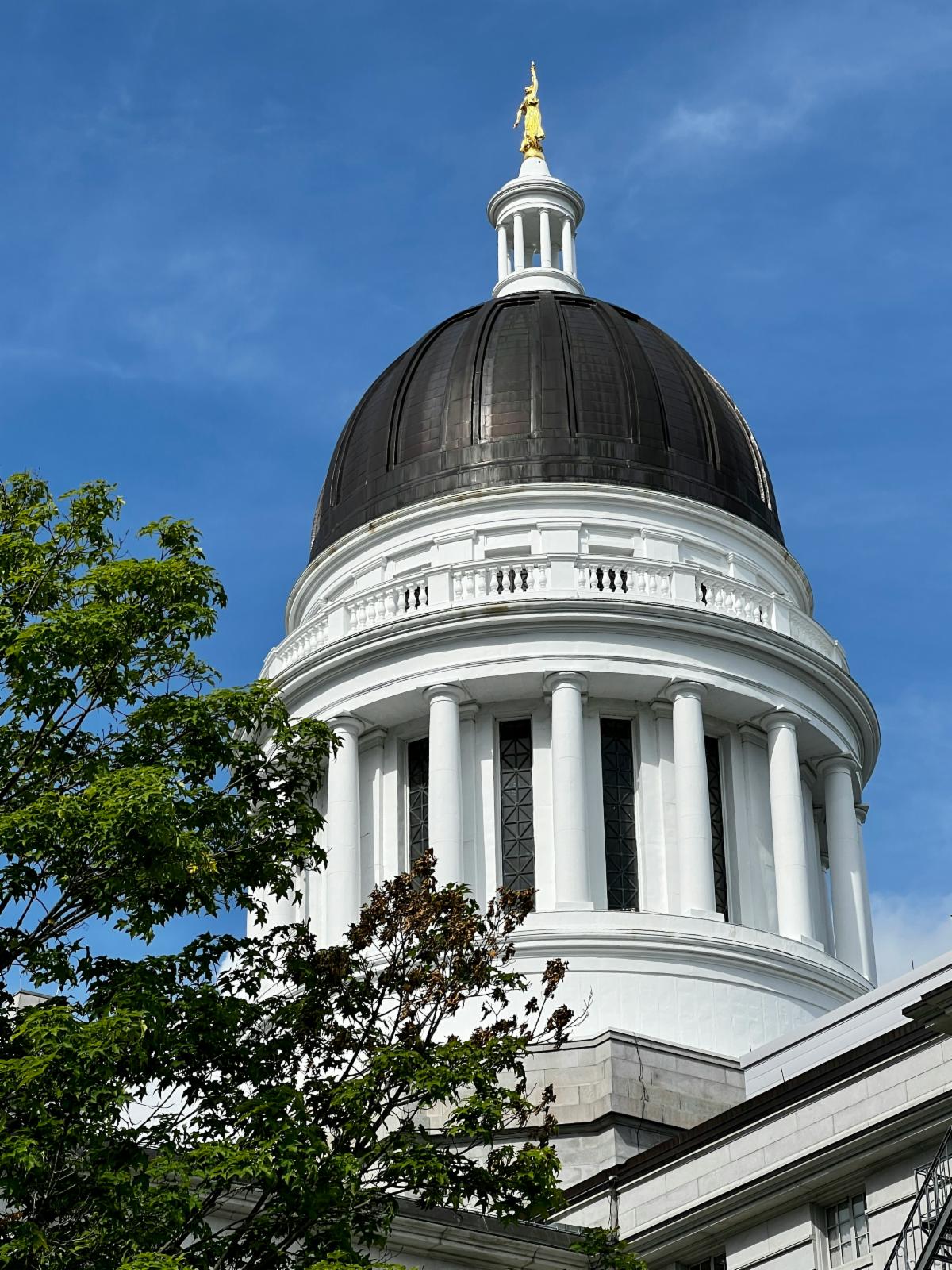 What's New at Penquis