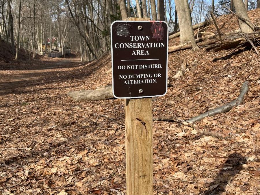 Picture of brown conservation area sign