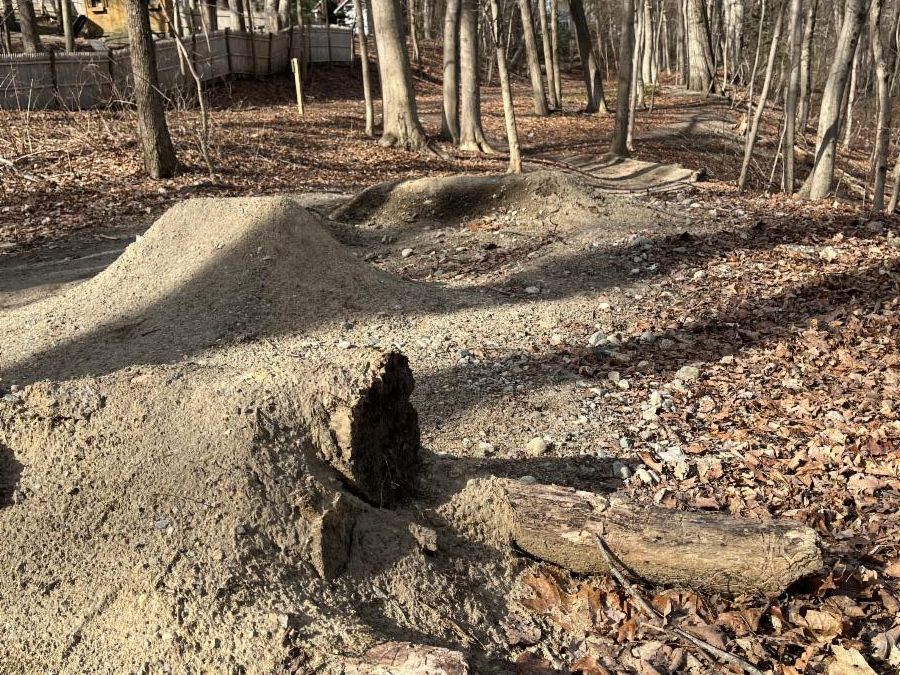 Close up view of mounded ramps with logs on bike pathway