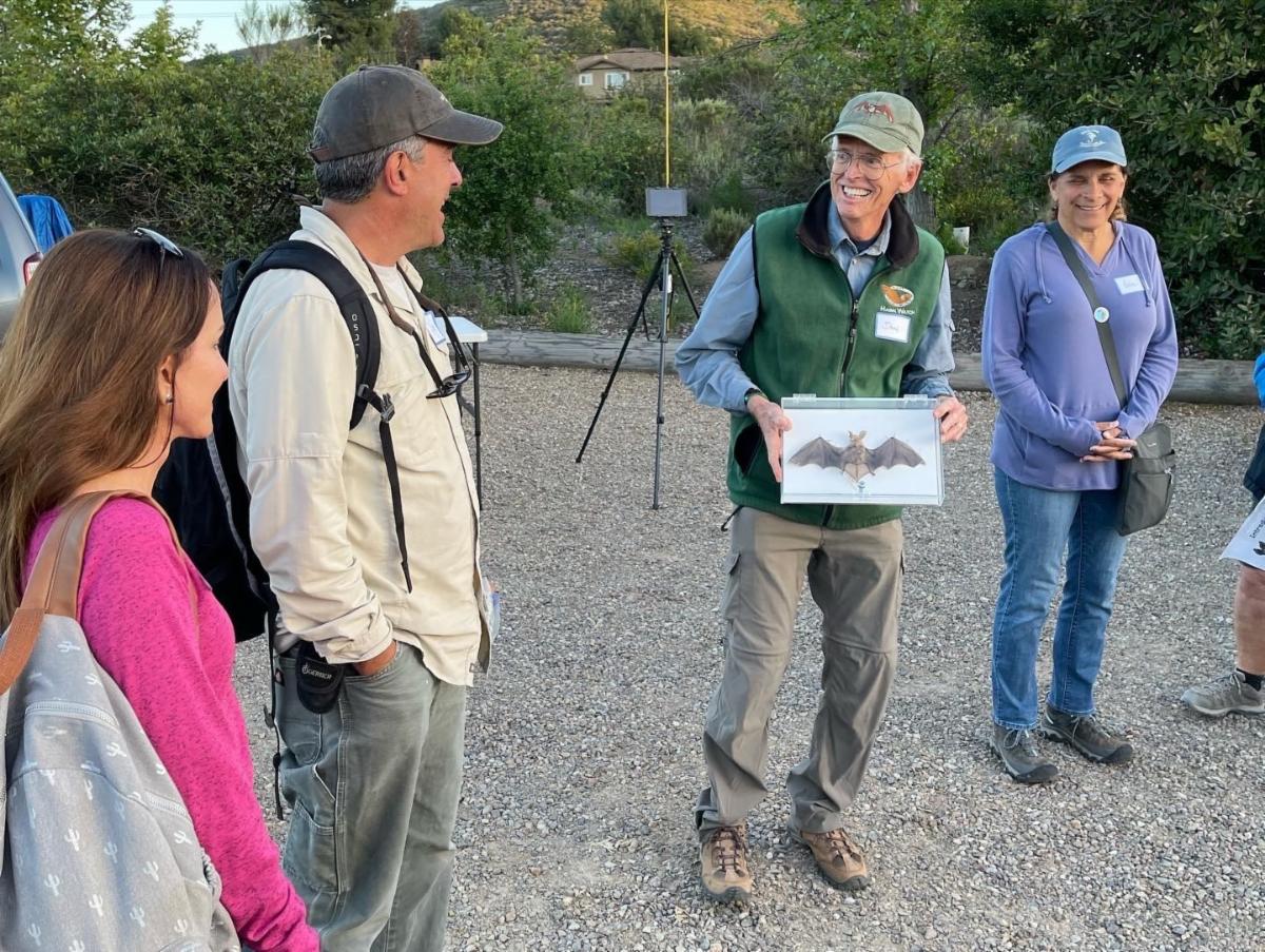 WATCH a Bat Release at Mission Trails and Register for New Bat Walks