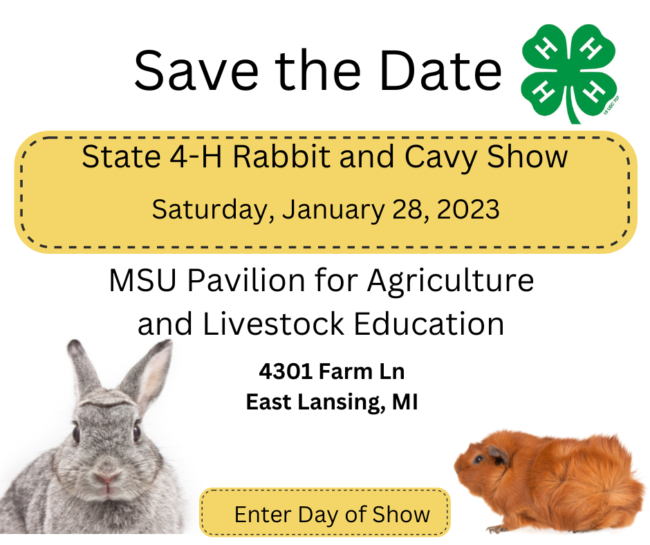 New club info, leaders workshops and more!