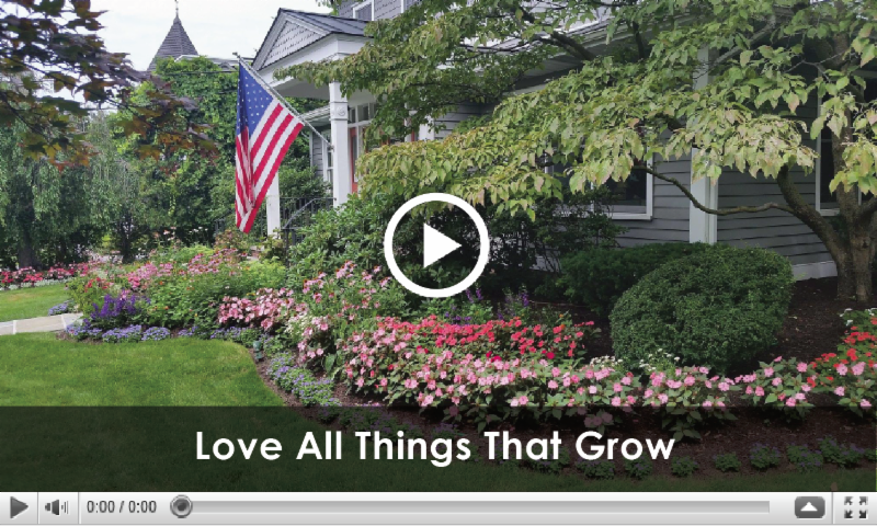 Love All Things That Grow