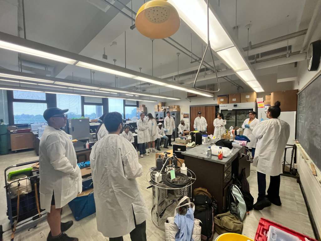 Fellows processing samples at the Lab