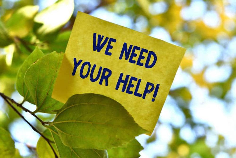 A photo of a piece of paper in a tree that read's We Need Your Help!