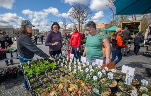 A photo of the people browsing plants at GreenFest's annual native plant sale.