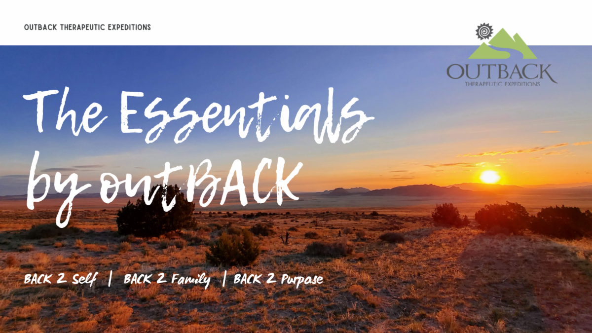 Essentials Newsletter Banner _1_.png