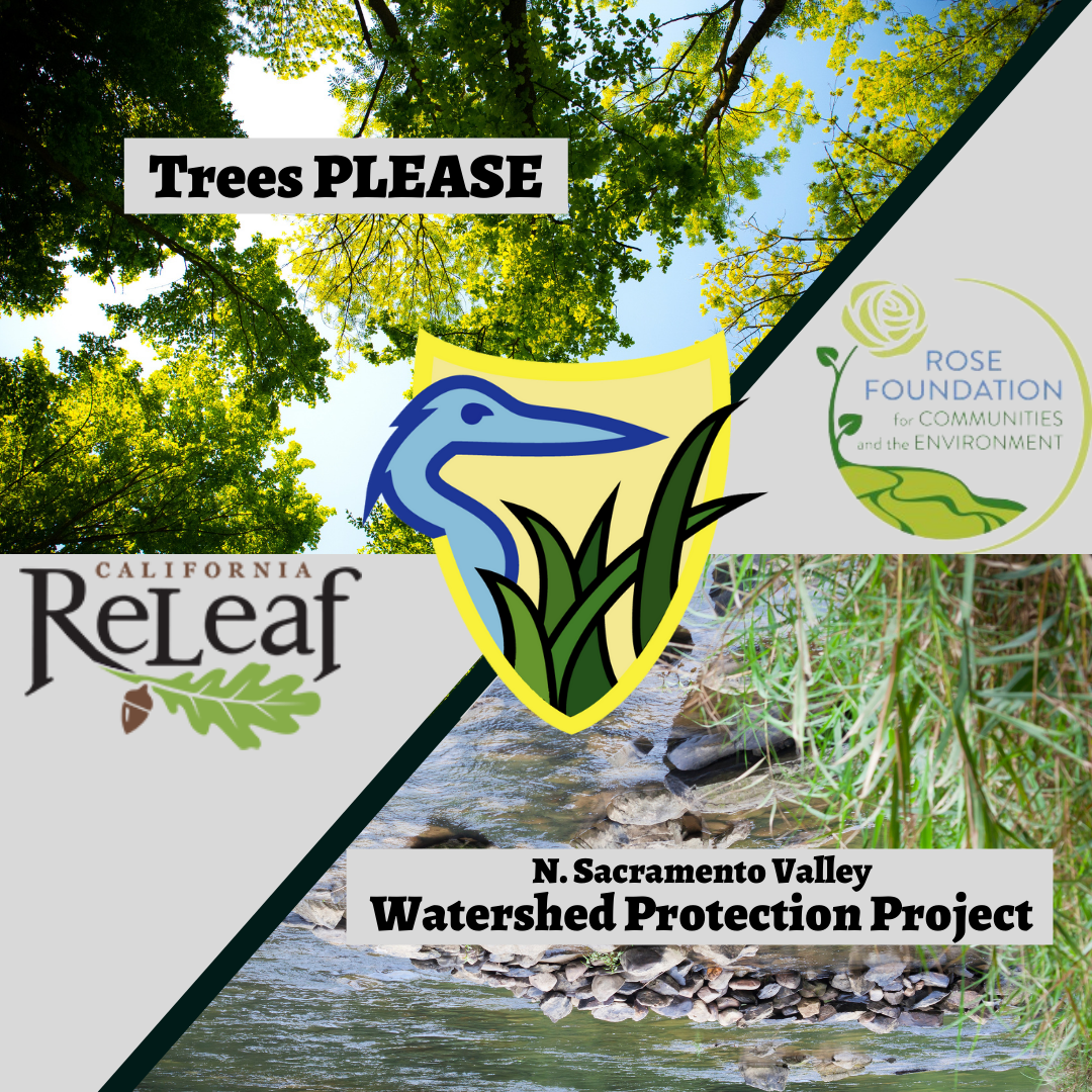 New Year, New BEC in 2022 Friend!