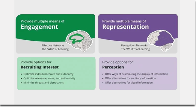 UDL Engagement and Representation